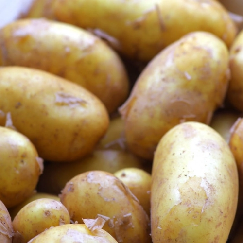 Cagette de pommes de terre Delikatess (chair ferme) BIO