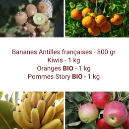 Panier Tout Fruits