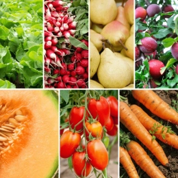 Panier MIDI Fruits & Légumes