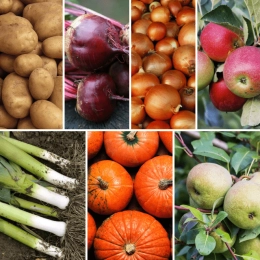 Panier MIDI Fruits & Légumes