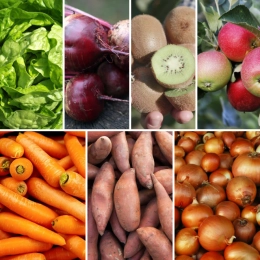 Panier MIDI Fruits & Légumes