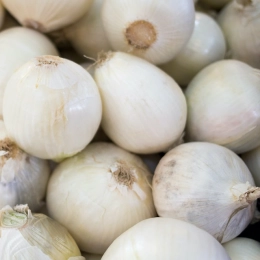 Oignons doux des Cévennes AOP