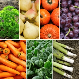 Panier MIDI Fruits & Légumes