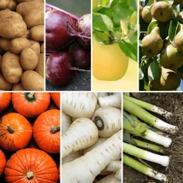 Panier MIDI Fruits & Légumes