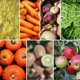 Panier MIDI Fruits & Légumes