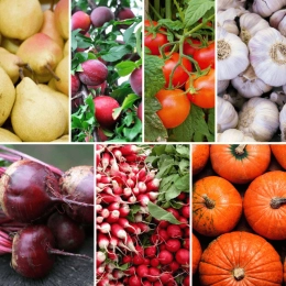 Panier MIDI Fruits & Légumes