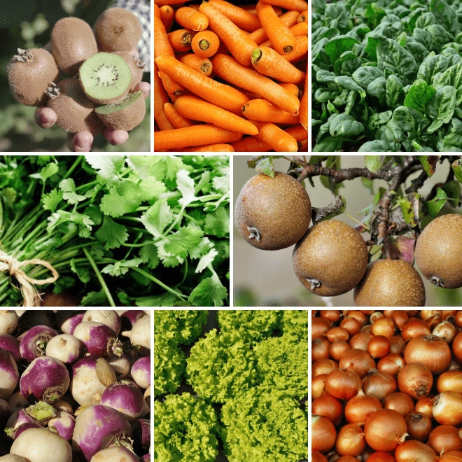 Un panier de légumes frais, locaux et biologiques à chaque semaine