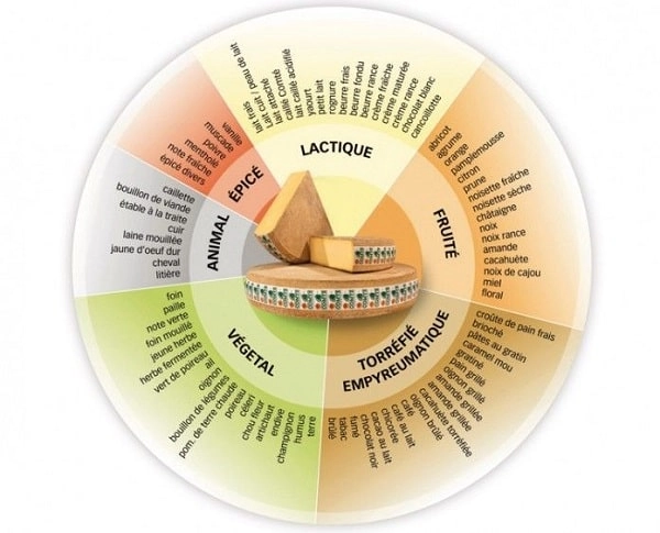 Roue des saveurs du Comté